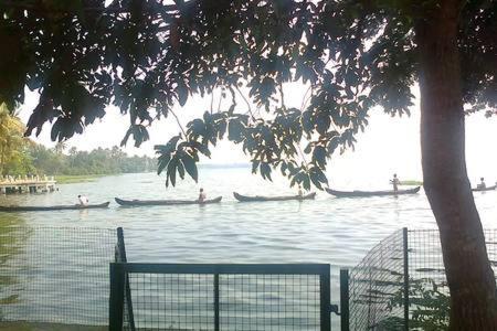 Lovedale Lakeside